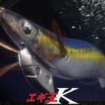Yamashita Egi King K HF No. 4