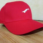 Gorra Yo Zuri 2024