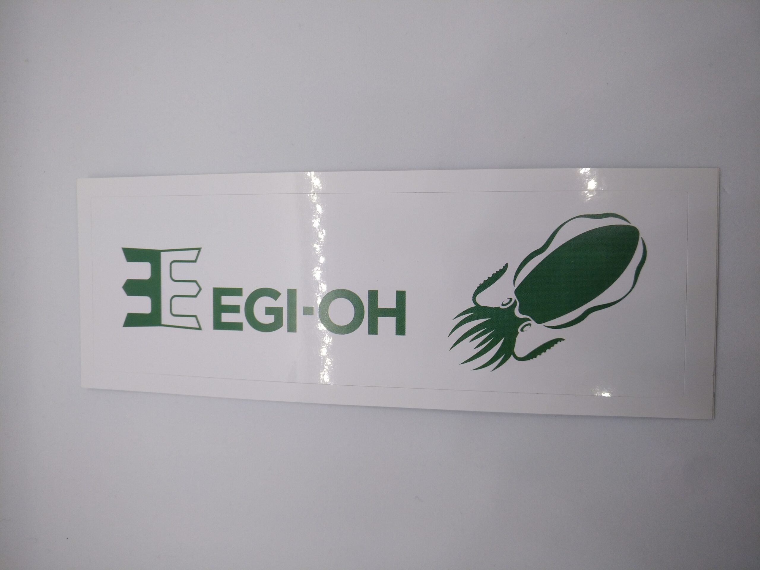 IMG_20250305_194709 Pegatina EGI-OH - Imagen 1