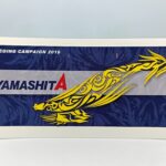 Yamashita Eging Campaign 2016 AZUL
